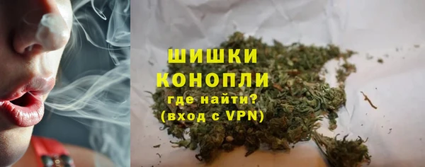 ПСИЛОЦИБИНОВЫЕ ГРИБЫ Богданович