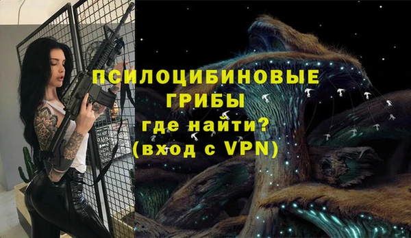 прущие грибы Лиски