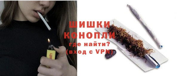 трава Магас