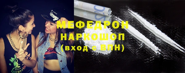 трава Магас