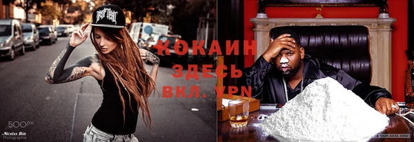 прущая мука Козловка